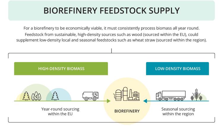 Feedstock Supply, copyright TNO and UAL 